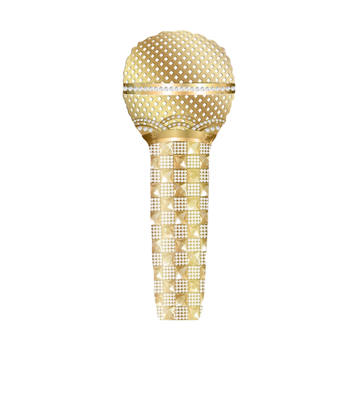 Super Star Microphone