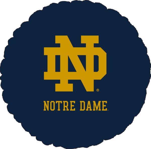 Notre Dame Balloon