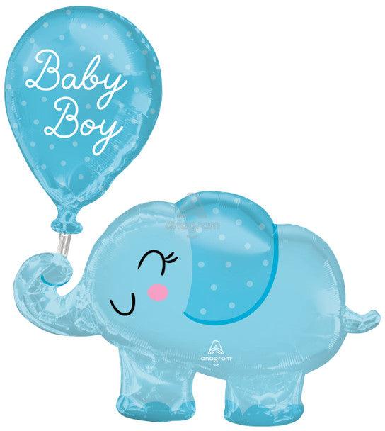 Baby Boy Elephant
