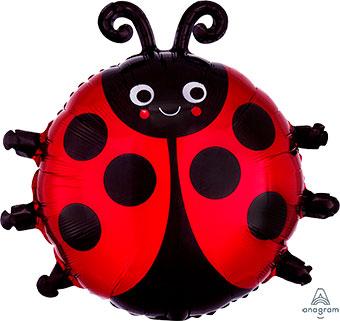 18LadyBug