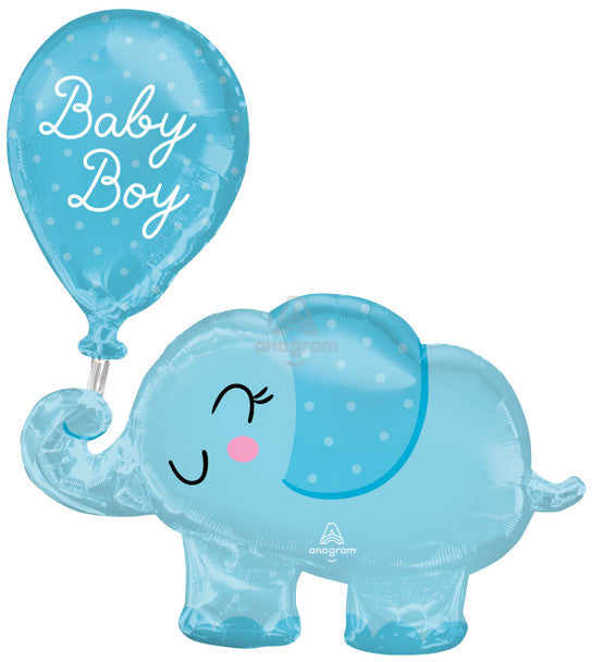 Baby Boy Elephant