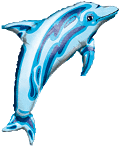dolphin37
