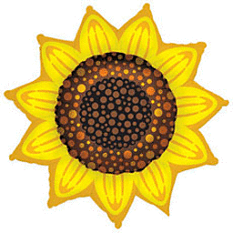 sunflower42